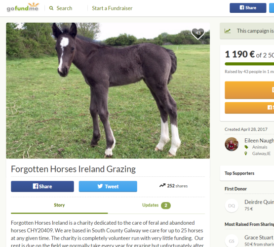 Gofundme Appeals Are More Popular Than Ever How Are Established Charities Competing