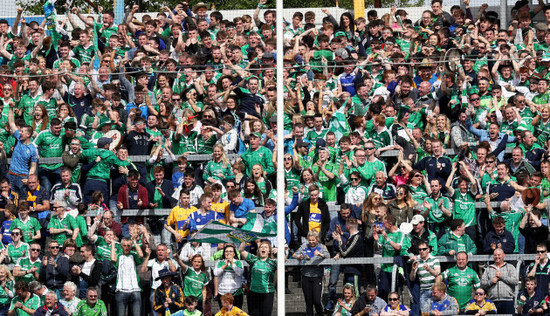 Limerick fans celebrate their side scoring a goal