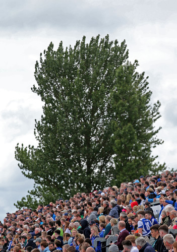 A view of spectators