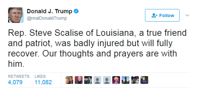 donald trump scalise