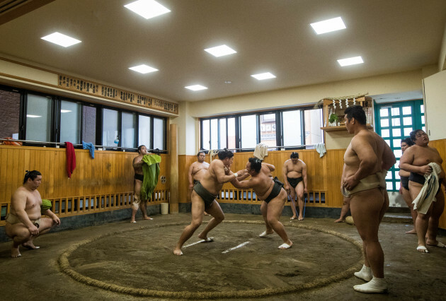 A view inside the Sumo Stables