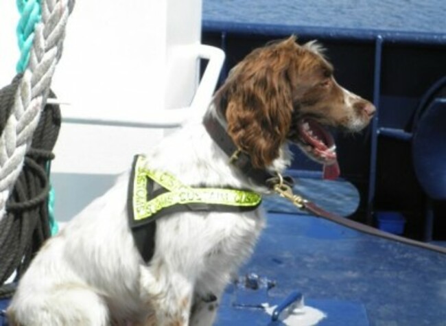 olympus-digital-camera-289-390x285