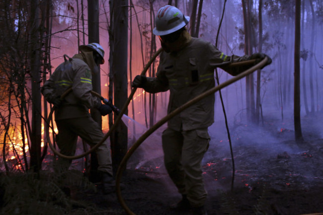 Portugal Forest Fires