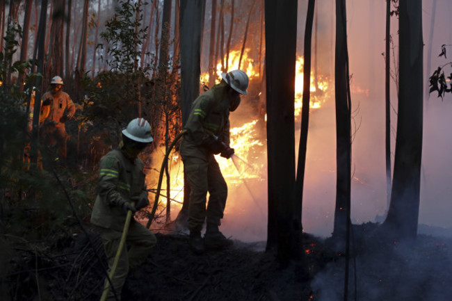 Portugal Forest Fires