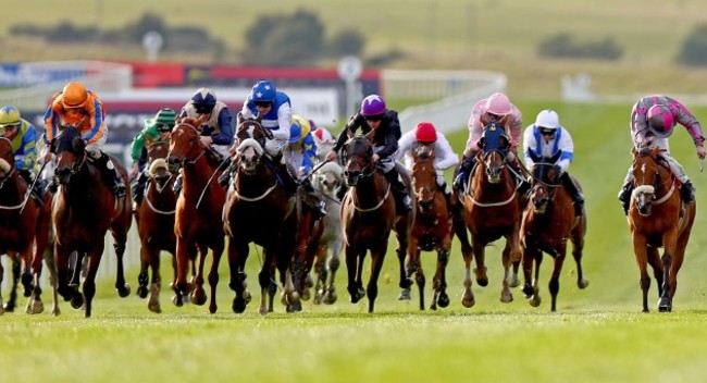 Torcedor ridden by W.M. Lordan (left, orange colours) leads the field home to win