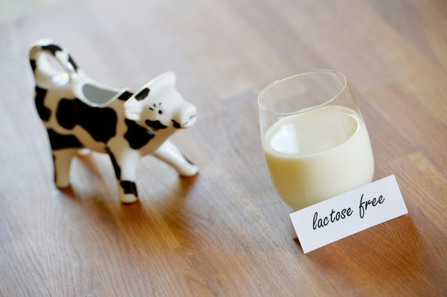 Lactose free milk