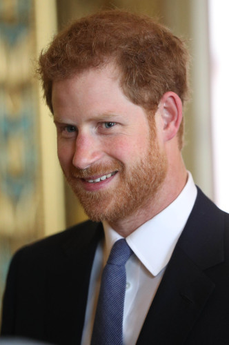Prince Harry interview