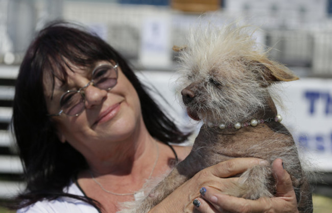 World's Ugliest Dog