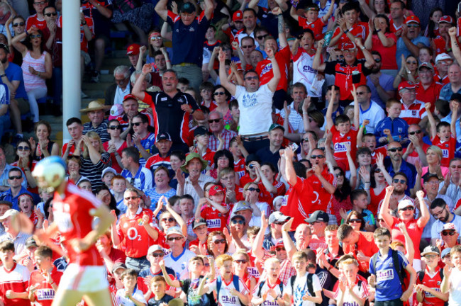 Cork fans celebrate a point