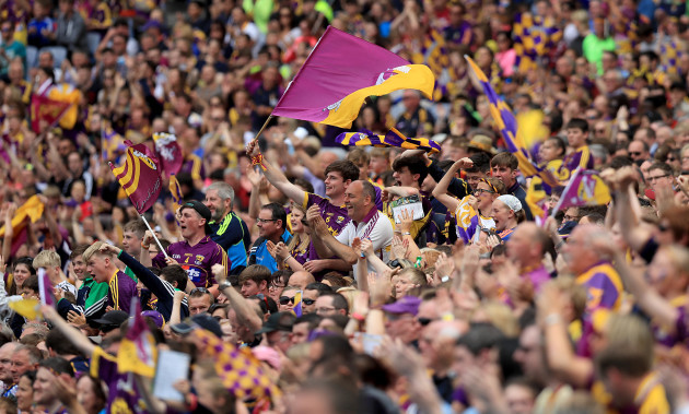 Wexford supporters