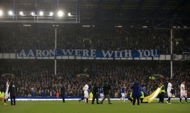 Everton v Watford - Premier League - Goodison Park