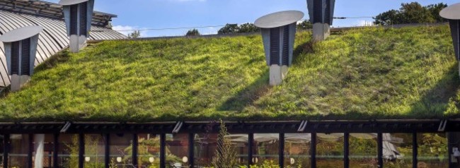 Green Roof on a Public Library Building