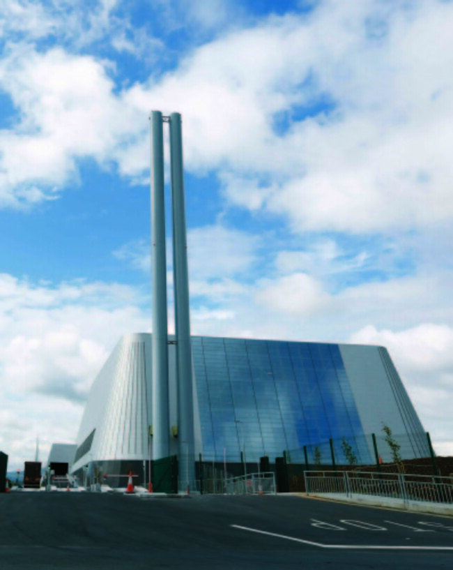 FLY INFESTATION 90514155_90517234