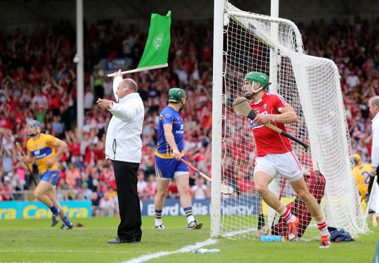 Alan Cadogan after scoring the opening goal