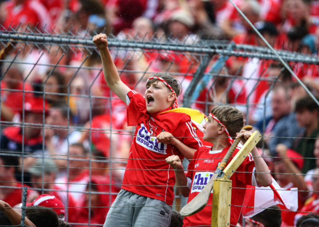 Cork supporters celebrate