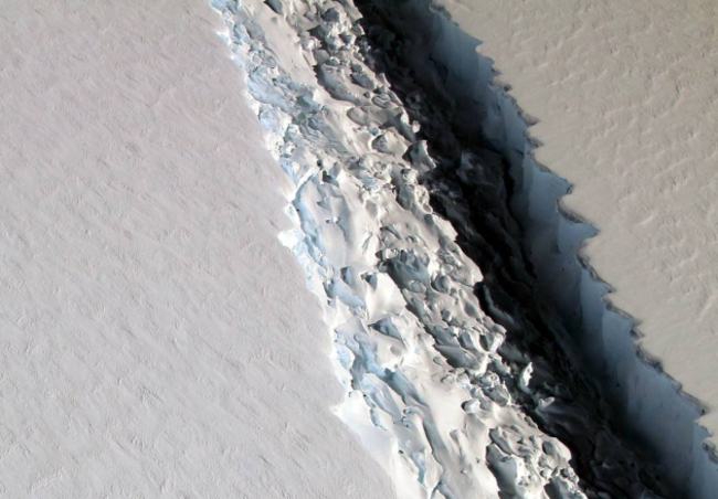 Larsen C