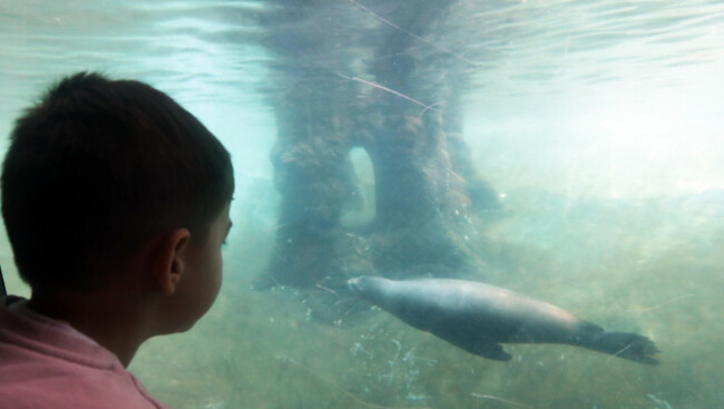 1012 Dublin Zoo animals_90518023