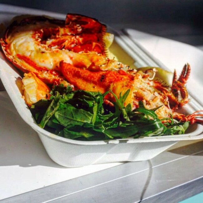 19225951_459020104447573_5663111506036175840_n