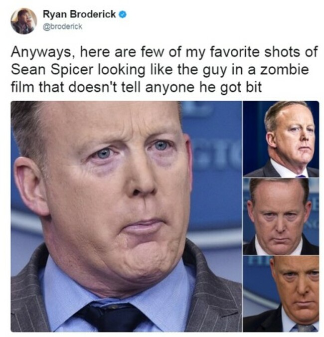 spicer