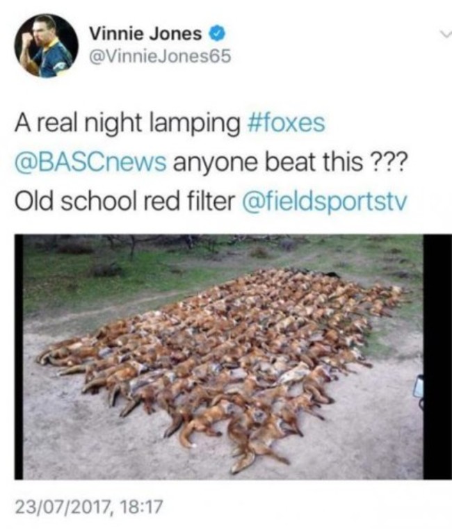 vinnie-jones-fox-tweet