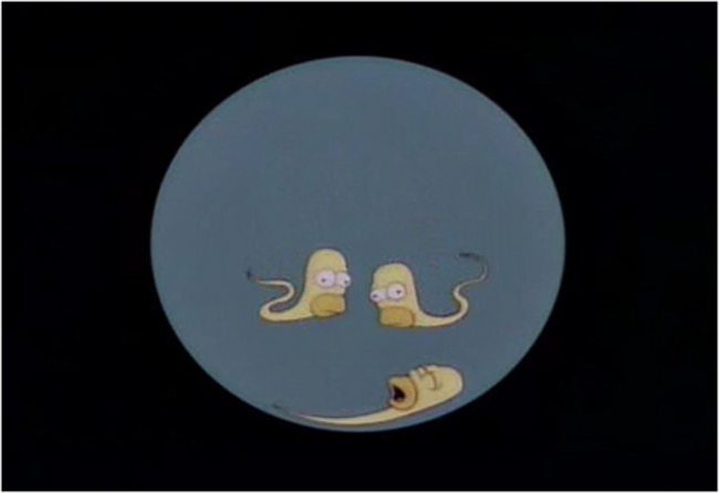 homer-sperm