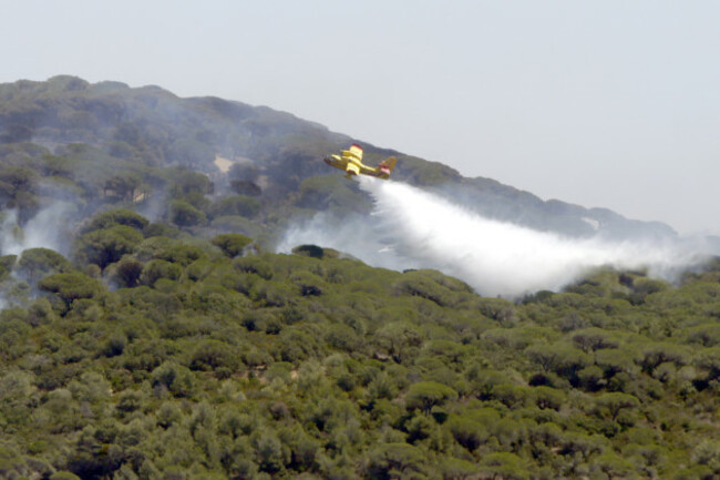 France Wildfires