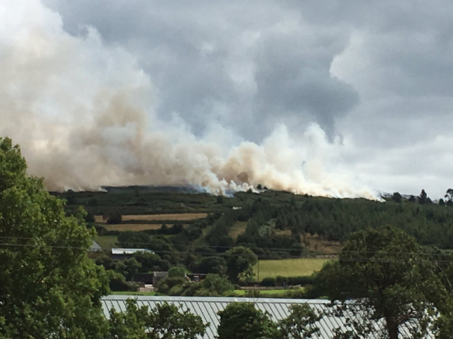 Gorse fire