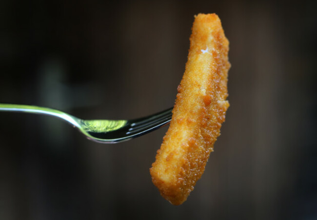 Fish finger