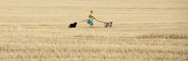 4/8/2017. Ballyboughal Crime Scenes