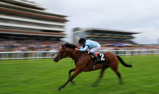 Weatherbys Super Sprint Day - Newbury Races