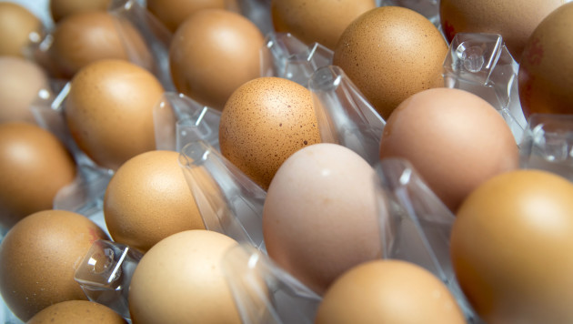 Egg contamination scare
