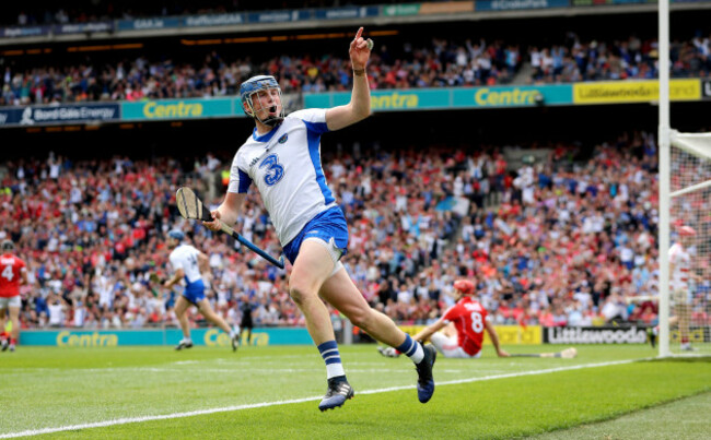 Austin Gleeson celebrates scoring their third goal