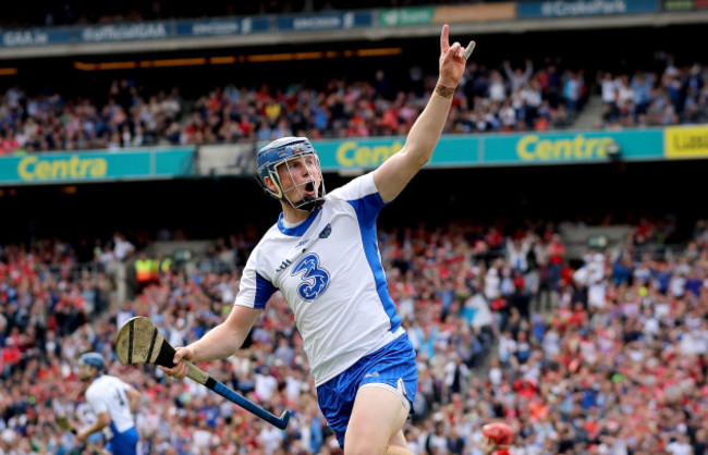 Austin Gleeson celebrates scoring their third goal