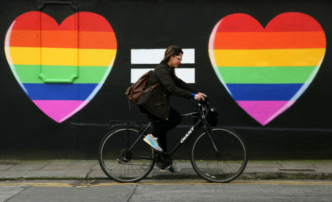 Ireland's gay marriage vote