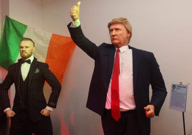 7537 Conor McGregor Waxwork_90520770