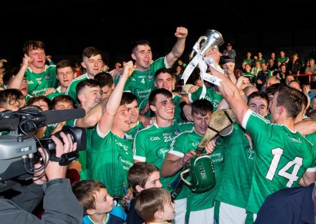 Limerick celebrate after the game