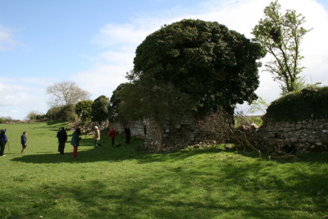 Town Wall pre conservation