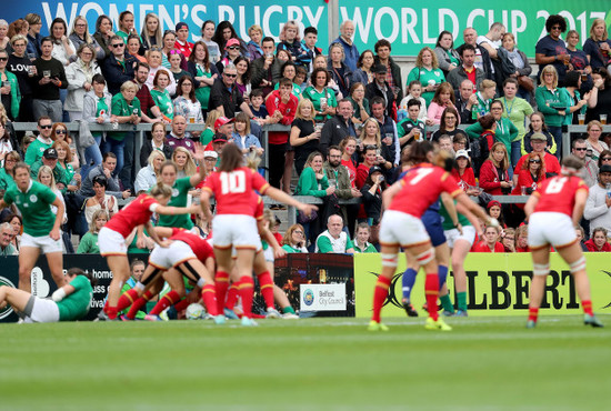 Ireland fans during the game