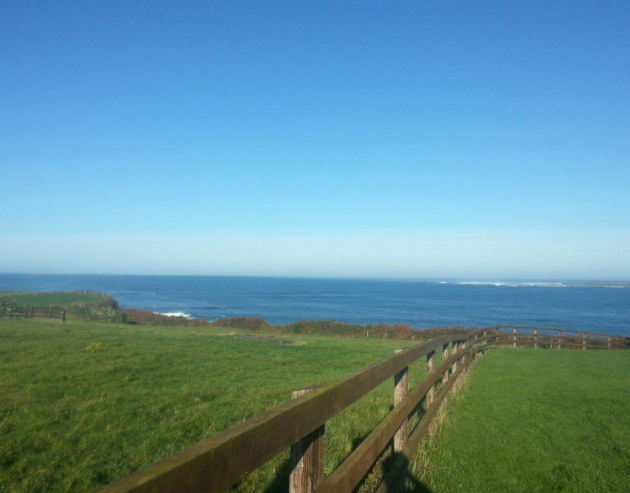 A Cottage Owner In Clare Seriously Shut Down A Tripadvisor Review