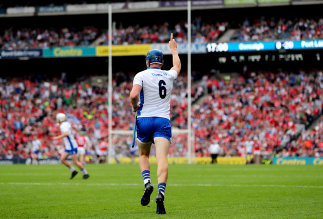 Austin Gleeson celebrates a late score