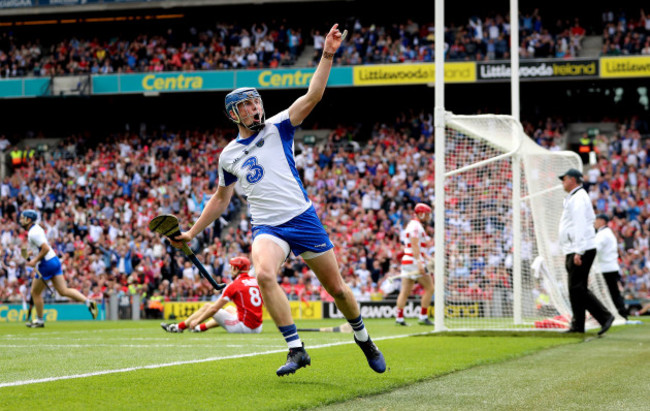 Austin Gleeson celebrates scoring their third goal