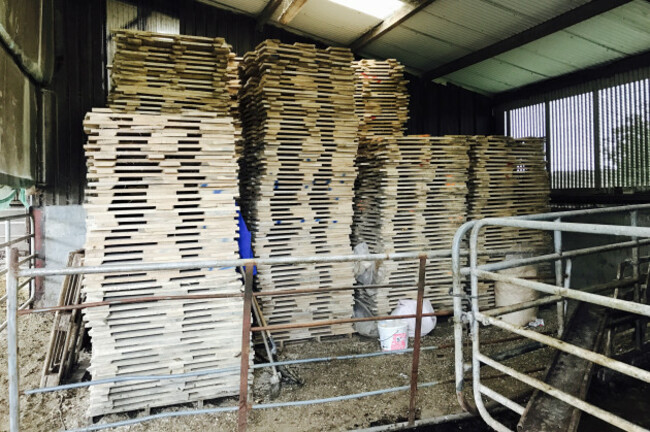 image_uploaded_from_ios (1)