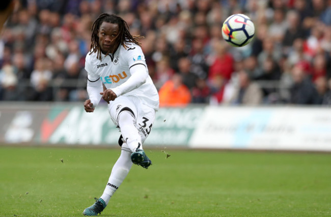 Swansea City v Newcastle United - Premier League - Liberty Stadium