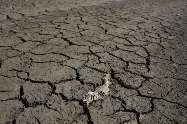 Portugal Dire Drought