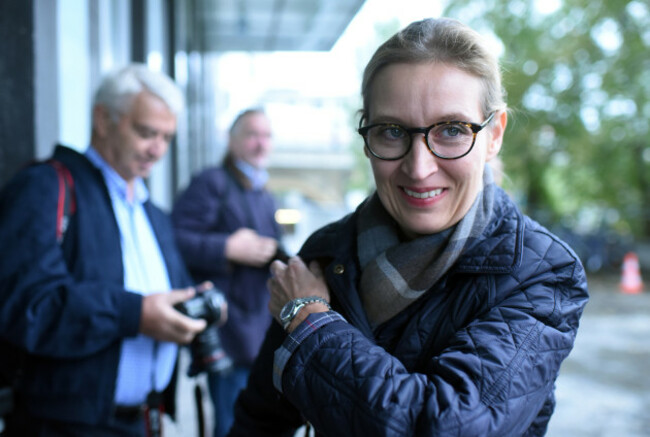 Alternative for Germany press conference after election