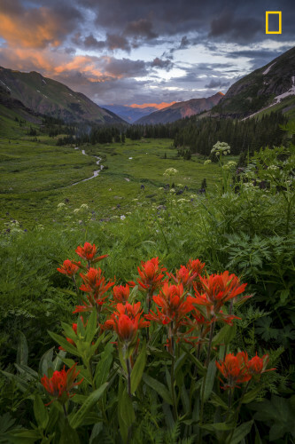 Reflections of Nature: The Best of CWF's 2019 Photo Contest – Your