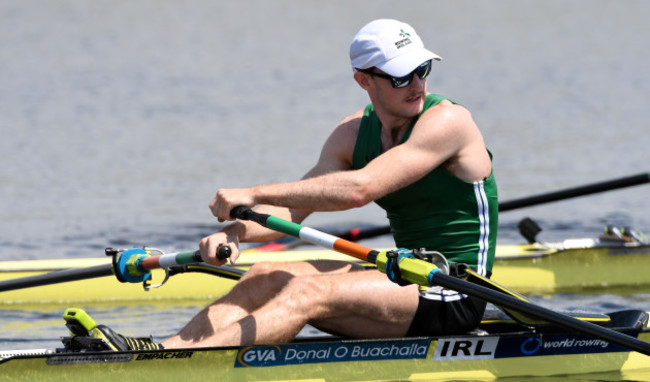 Paul O'Donovan after winning his quarter-final