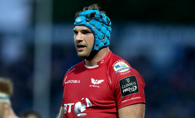 Tadhg Beirne