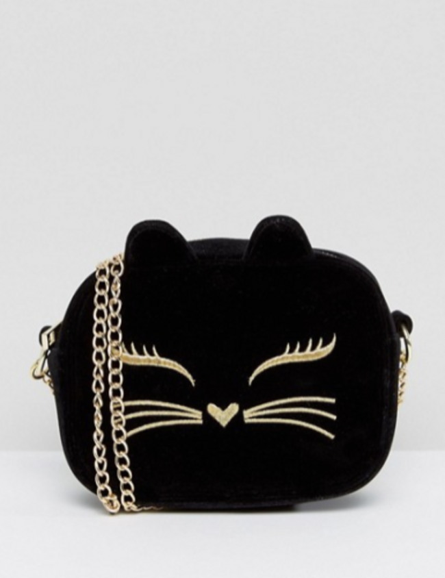 cat bag