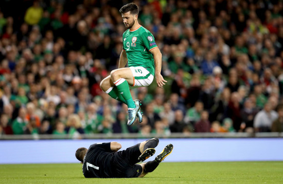 Shane Long and Ilie Cebanu